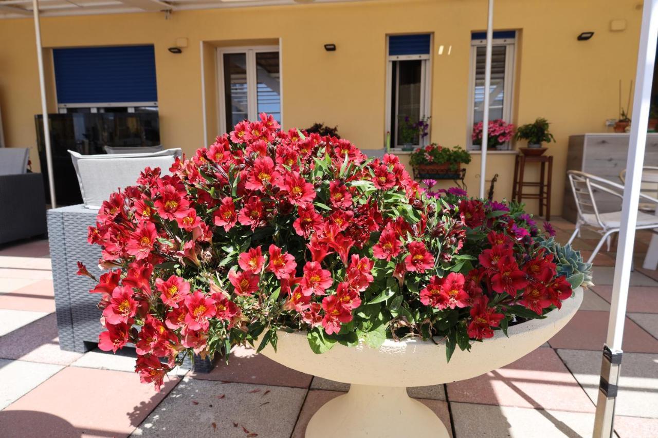 Albergo Stella Di Mare Lavagna Zewnętrze zdjęcie