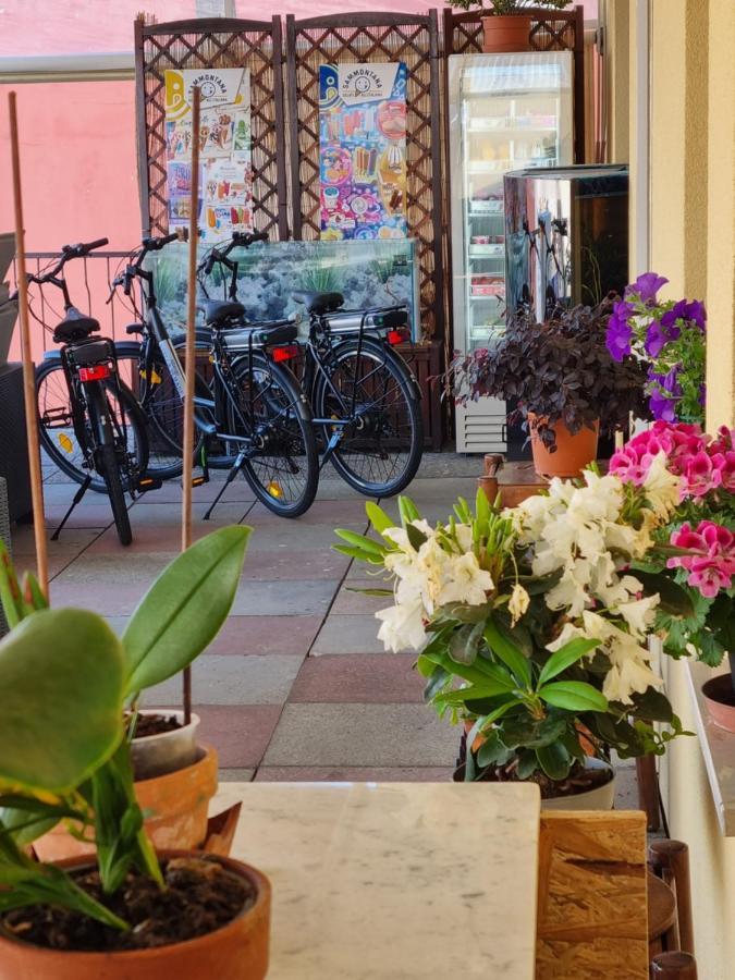 Albergo Stella Di Mare Lavagna Zewnętrze zdjęcie